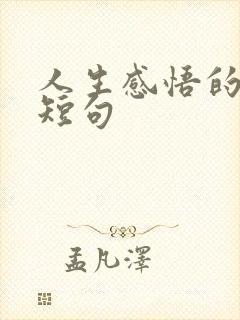 人生感悟的哲理短句