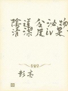 阴道分泌物检查清洁度iv是什么意思