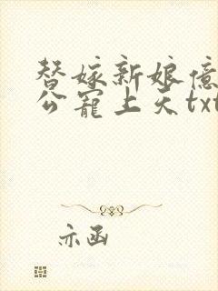 替嫁新娘亿万老公宠上天txt下载全本