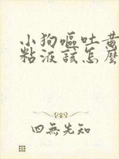 小狗呕吐黄色的粘液该怎么治