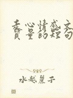 走心情感文案高质量的短句