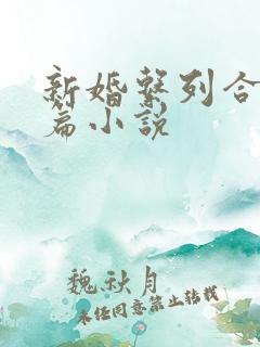新婚系列合集短篇小说