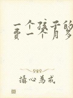 一个孩子的抚养费一个月多少钱