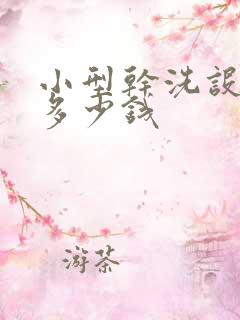 小型干洗设备要多少钱