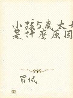 小孩5岁太好动是什么原因