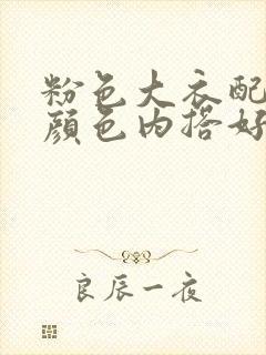 粉色大衣配什么颜色内搭好看