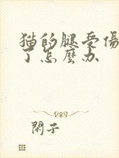 猫的腿受伤流脓了怎么办