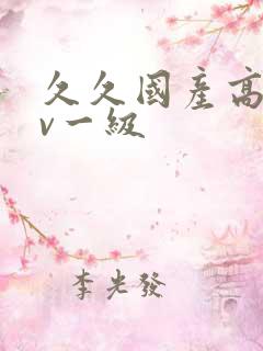 久久国产高清av一级