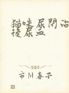 猫咪尿闭治疗之后尿血