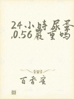 24小时尿蛋白,0.56严重吗