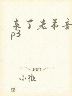 来了老弟音效mp3