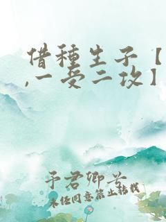 借种生子【双性,一受二攻】