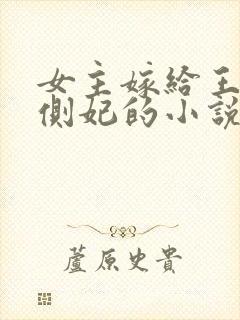 女主嫁给王爷当侧妃的小说