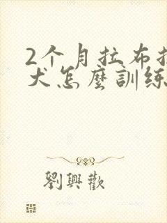 2个月拉布拉多犬怎么训练