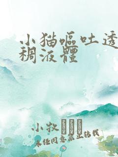 小猫呕吐透明粘稠液体