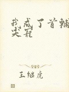 我成了首辅的心尖宠