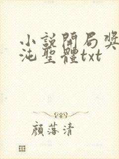 小说开局奖励混沌圣体txt