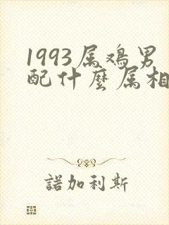 1993属鸡男配什么属相最好