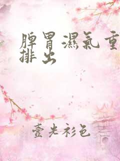 脾胃湿气重怎样排出