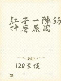 肚子一阵的痛是什么原因