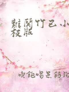 难哄竹已小说精校版