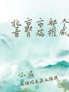 北京市哪个医院看肾病权威