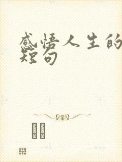 感悟人生的精辟短句