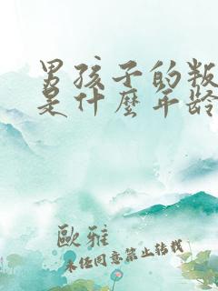 男孩子的叛逆期是什么年龄段