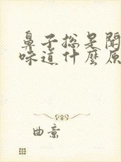 鼻子总是闻不到味道什么原因