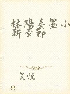 林阳秦墨小说最新章节