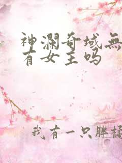 神澜奇域无双珠有女主吗