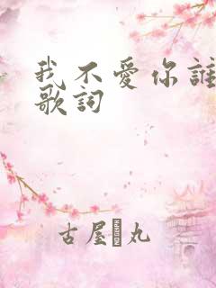 我不爱你谁爱你歌词