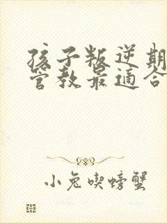 孩子叛逆期怎么管教最适合男孩