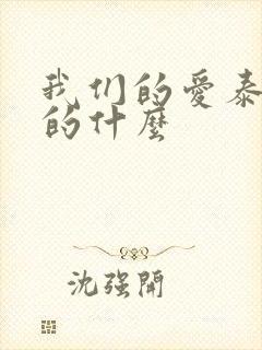 我们的爱泰剧讲的什么