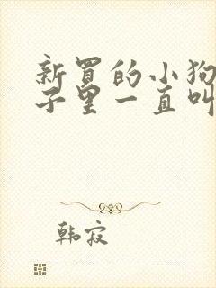 新买的小狗在笼子里一直叫