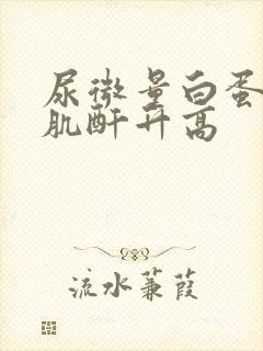 尿微量白蛋白尿肌酐升高