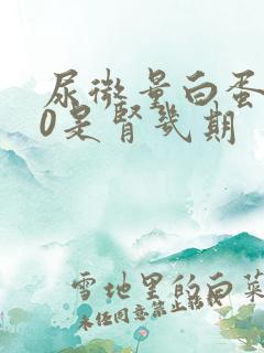 尿微量白蛋白30是肾几期