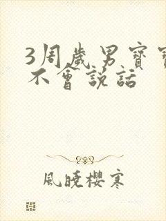 3周岁男宝宝还不会说话