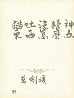 猫吐没精神不吃东西怎么办