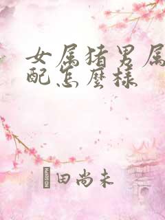 女属猪男属龙婚配怎么样