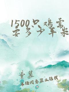 1500只鸡需要多少平米的鸡舍