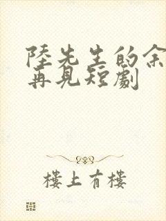 陆先生的余生不再见短剧
