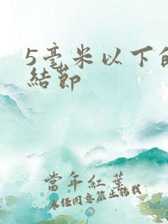 5毫米以下的肺结节