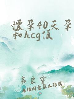 怀孕40天孕酮和hcg值