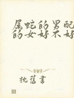 属蛇的男配属羊的女好不好