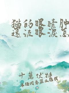 猫的眼睛肿了,还流眼泪怎么回事