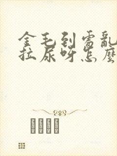 金毛到处乱拉屎拉尿呀怎么办呀