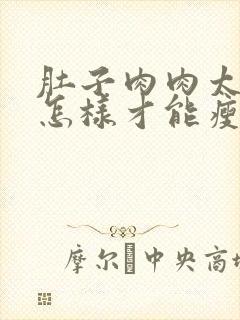 肚子肉肉太多了怎样才能瘦下来