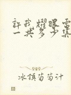 许我耀眼电视剧一共多少集啊