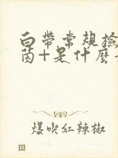 白带常规检查杂菌+是什么意思